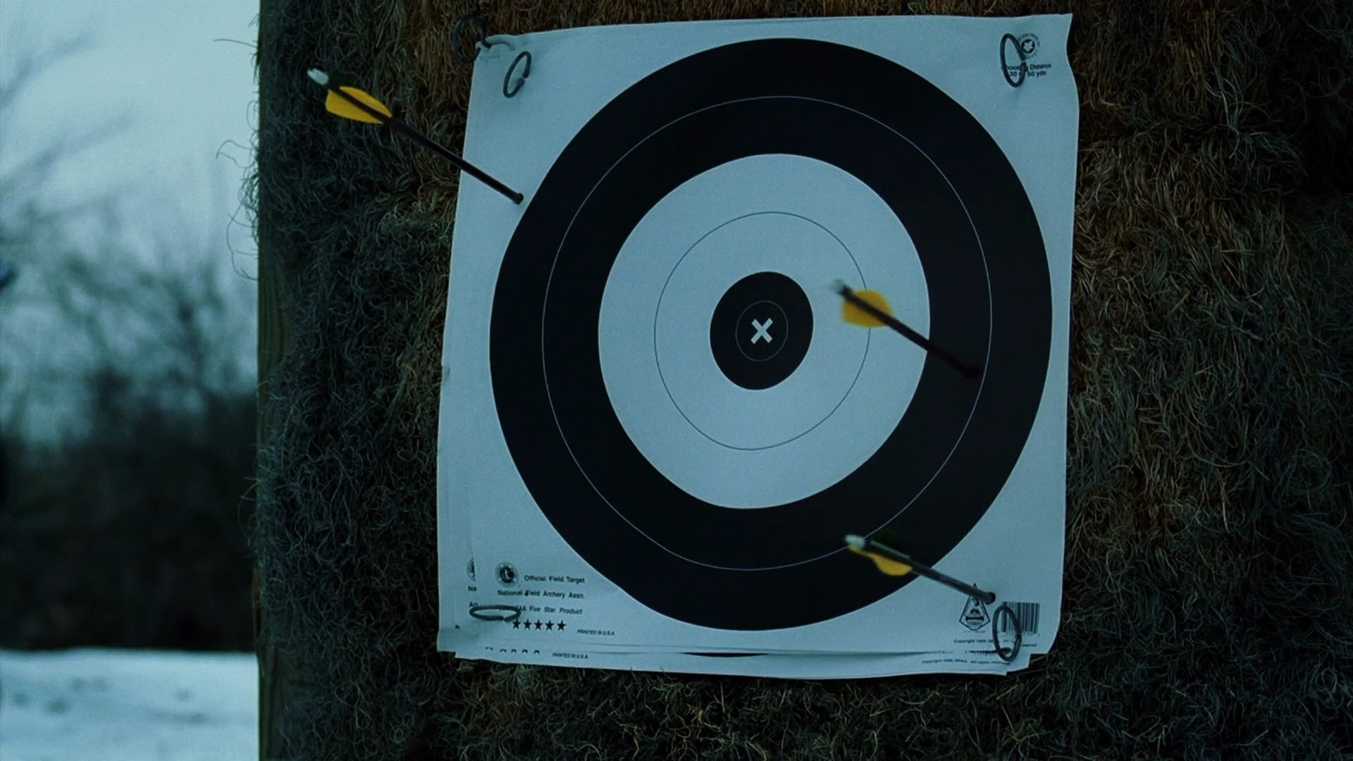 Shot 523