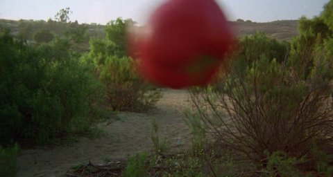 Shot 291