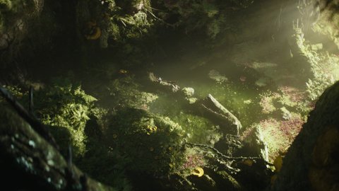 Shot 1095