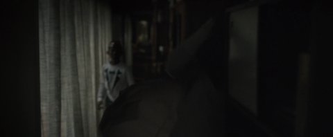 Shot 747