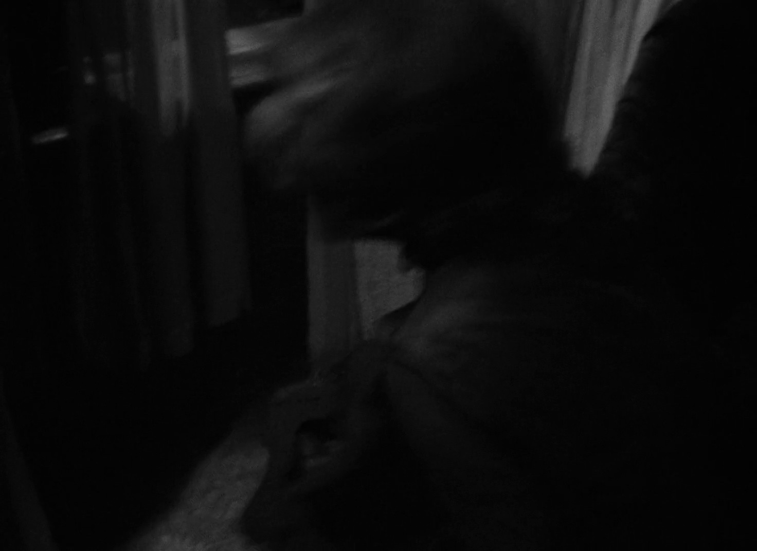 Shot 891