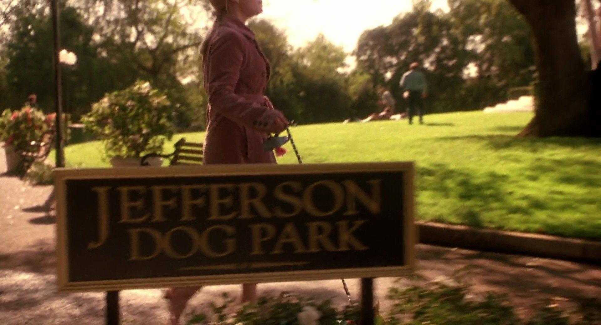 Shot 536