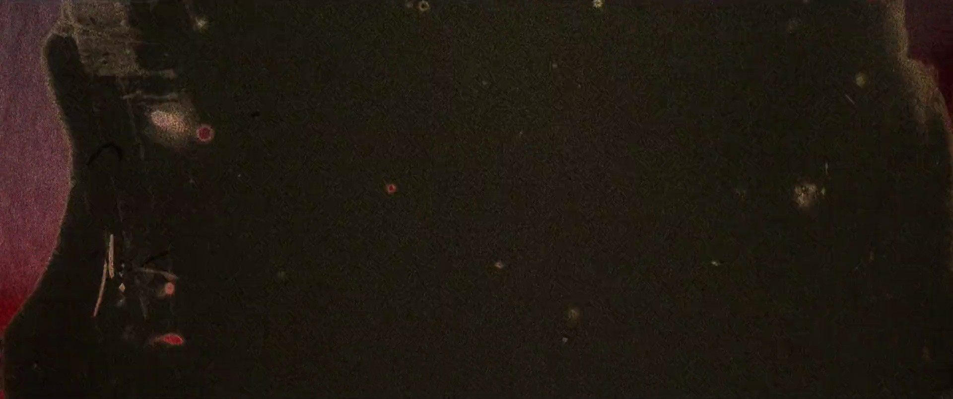 Shot 2001