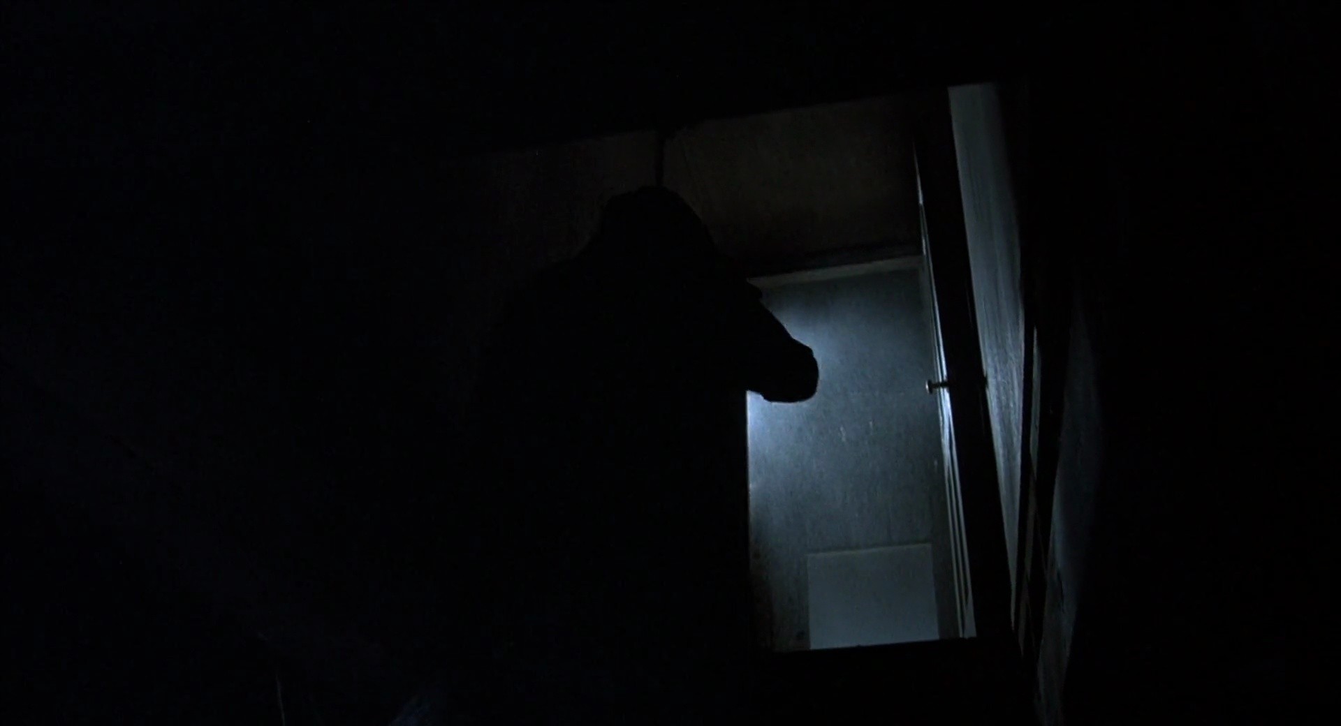 Shot 737