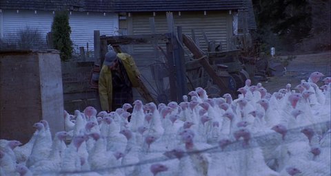 Shot 341