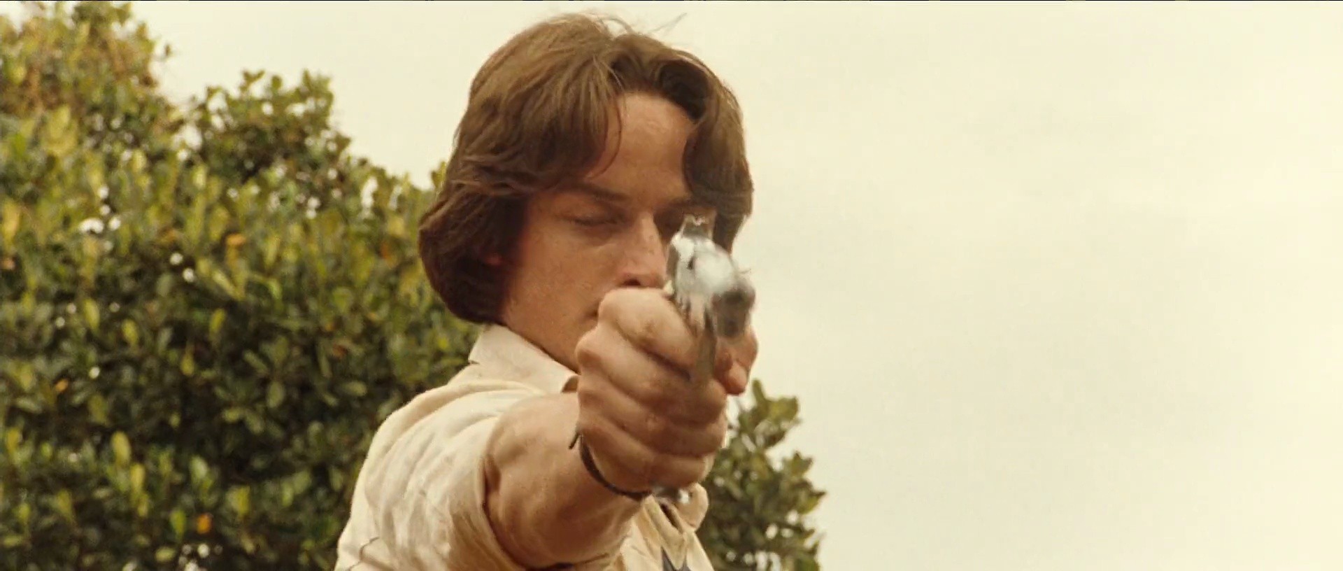Shot 386
