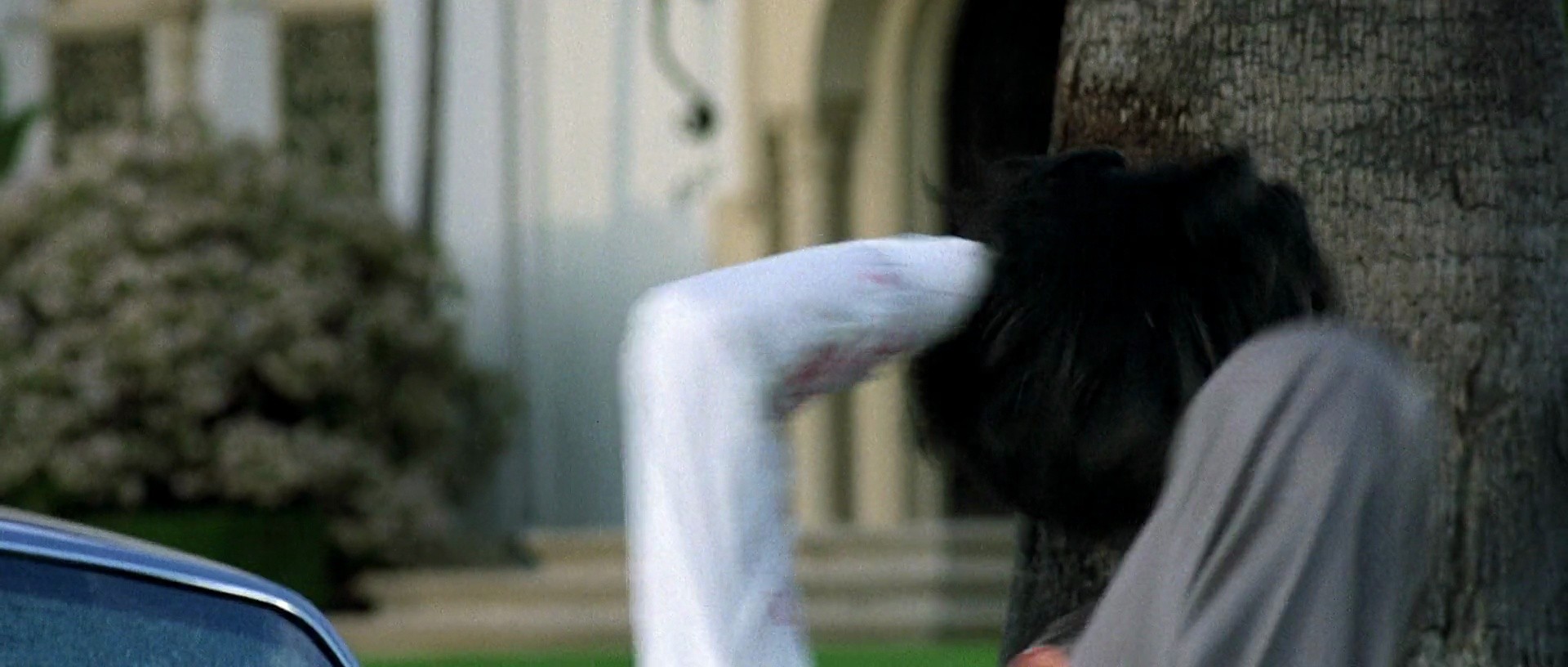 Shot 312