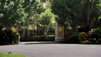 Shot 29