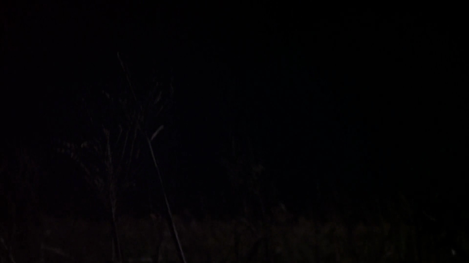 Shot 6