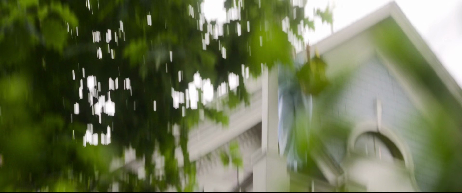 Shot 198