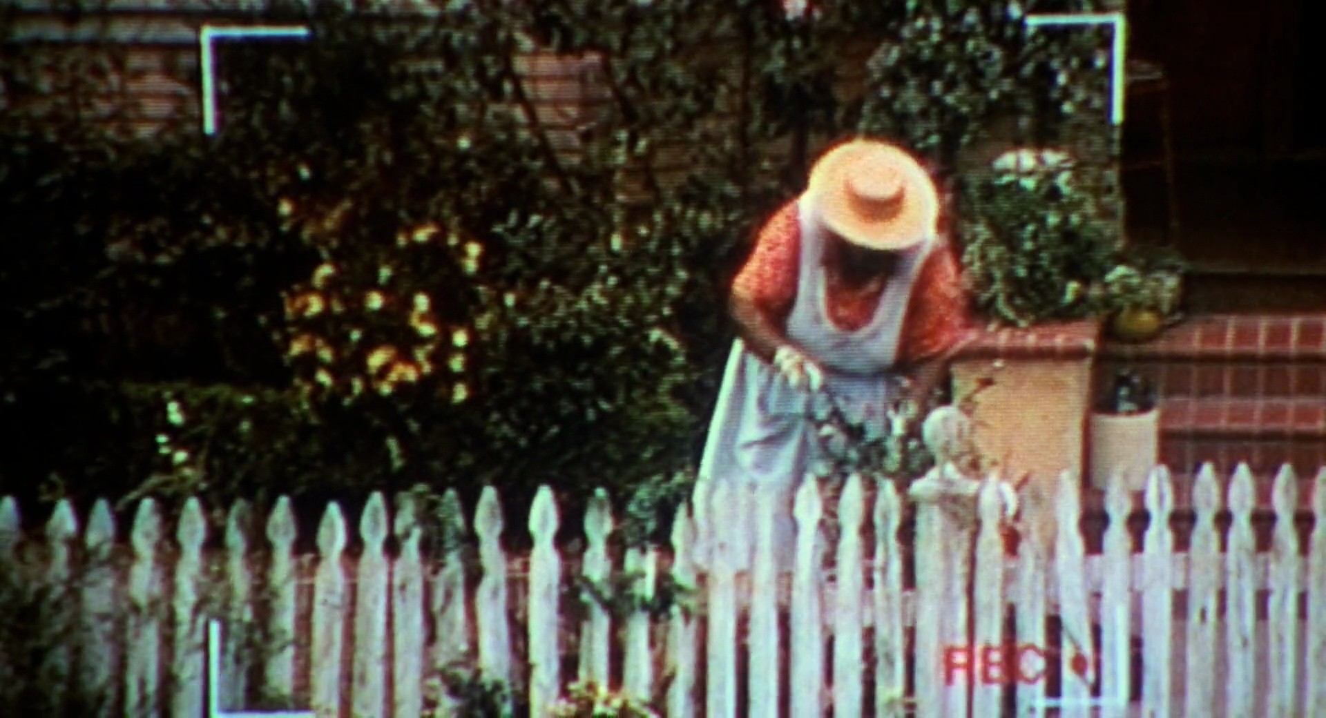 Shot 142