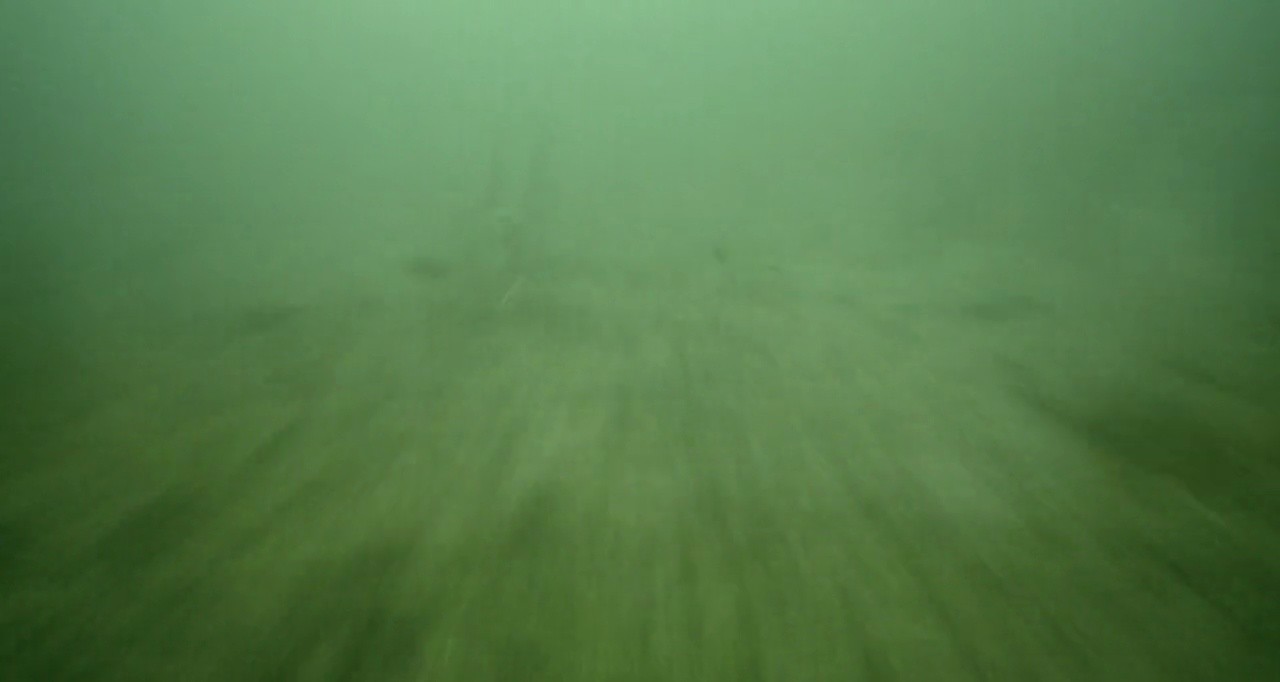 Shot 461