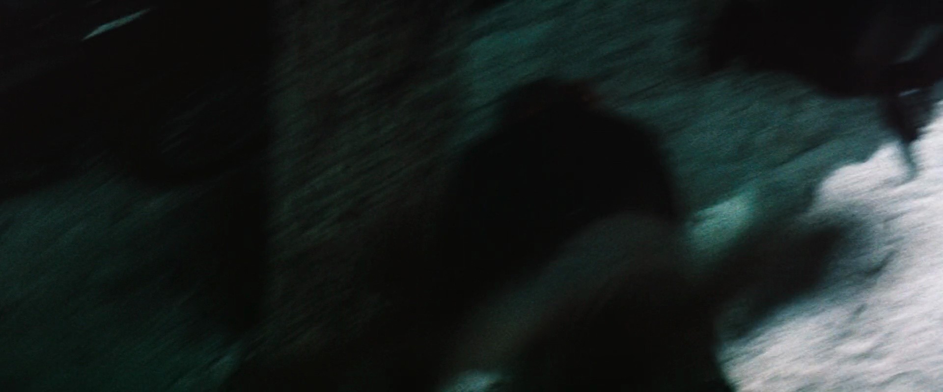 Shot 2202