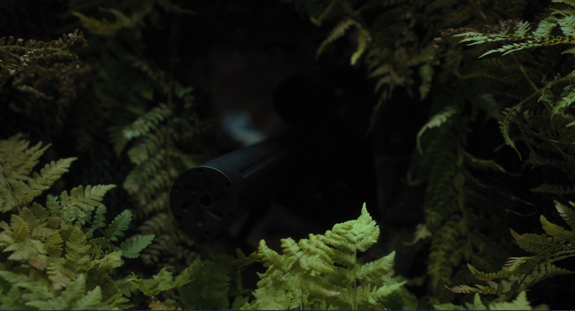 Shot 9