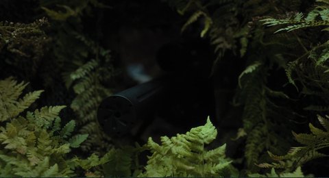 Shot 9