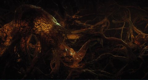 Shot 1291