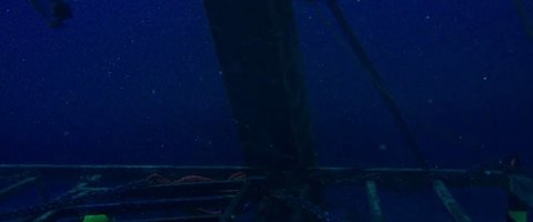 Shot 427
