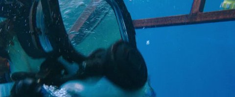Shot 330