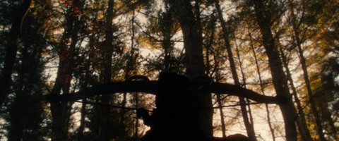 Shot 37