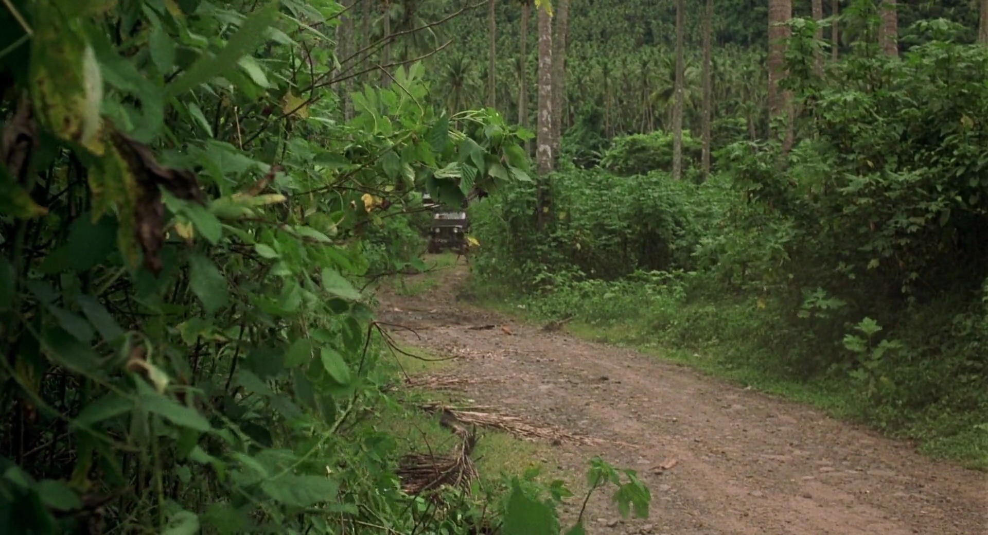 Shot 1233