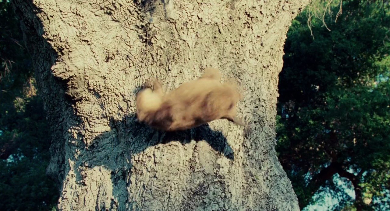 Shot 1402