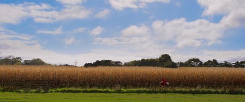 Shot 863