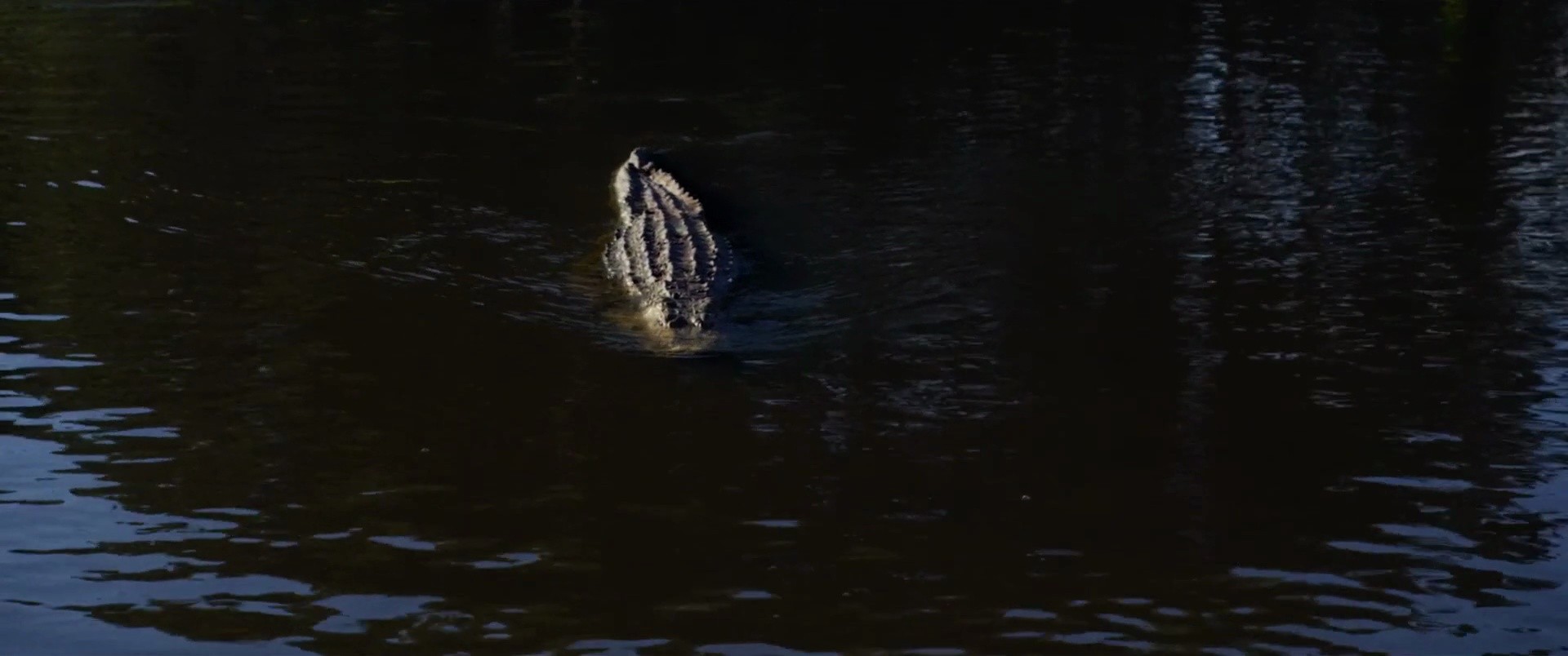 Shot 44