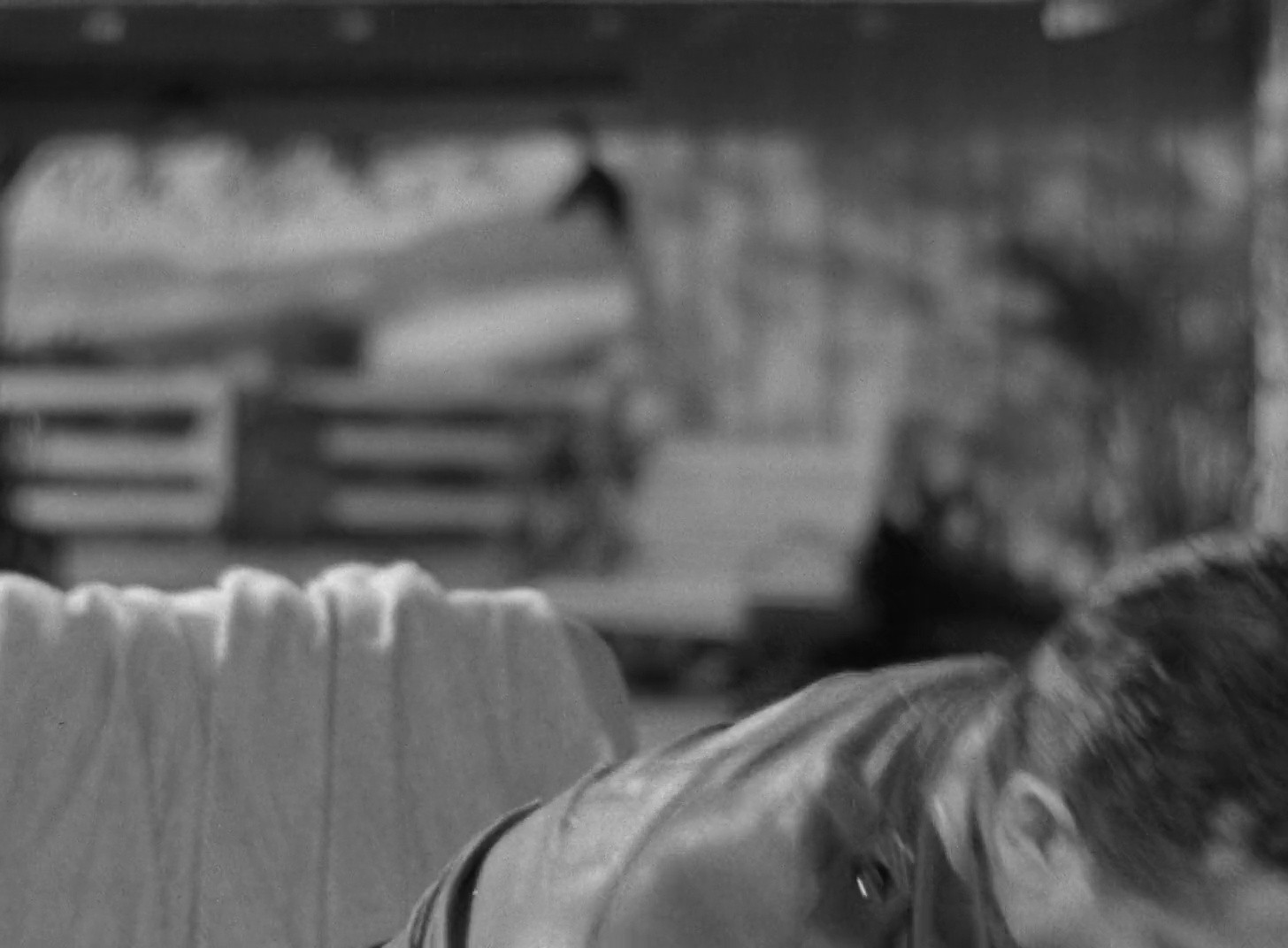Shot 176