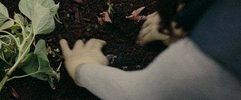 Shot 2487