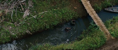 Shot 1810