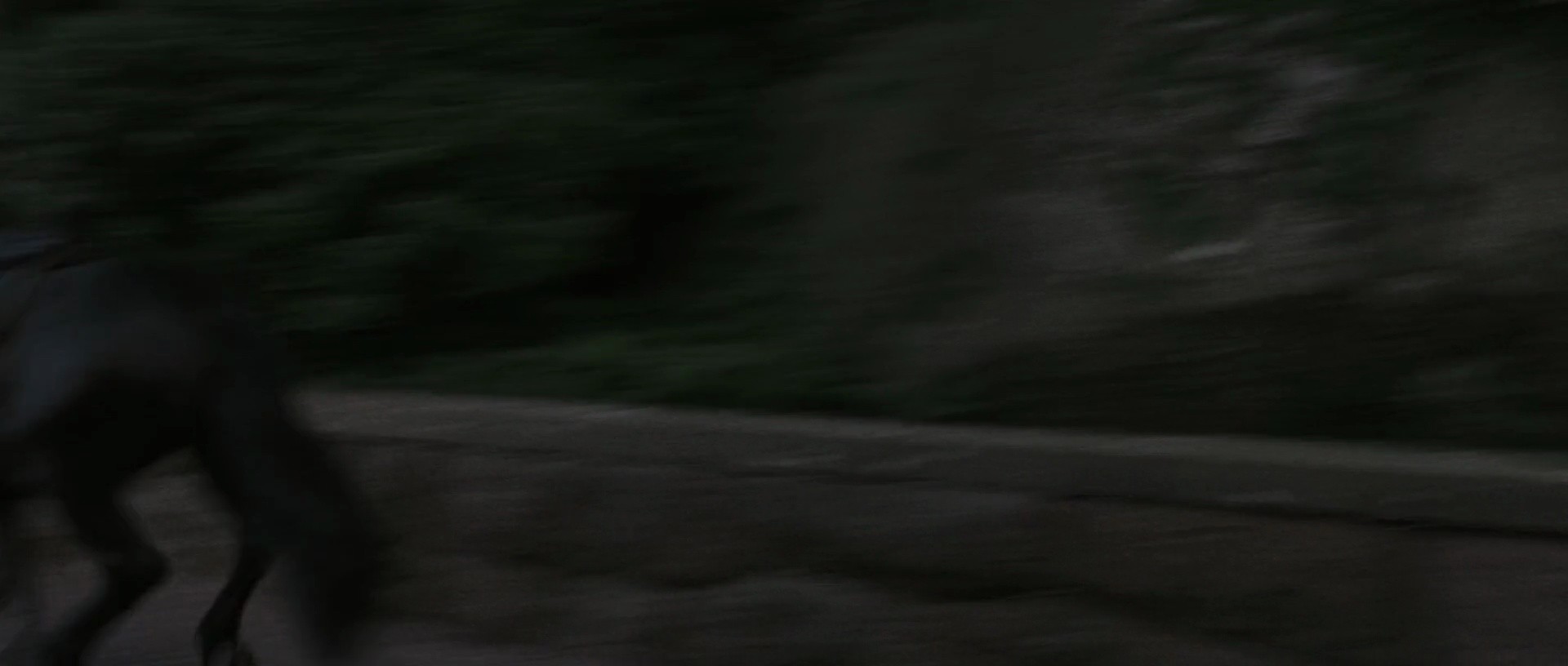 Shot 954