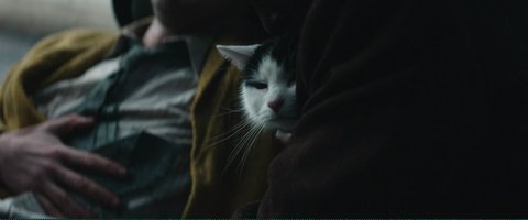 Shot 740