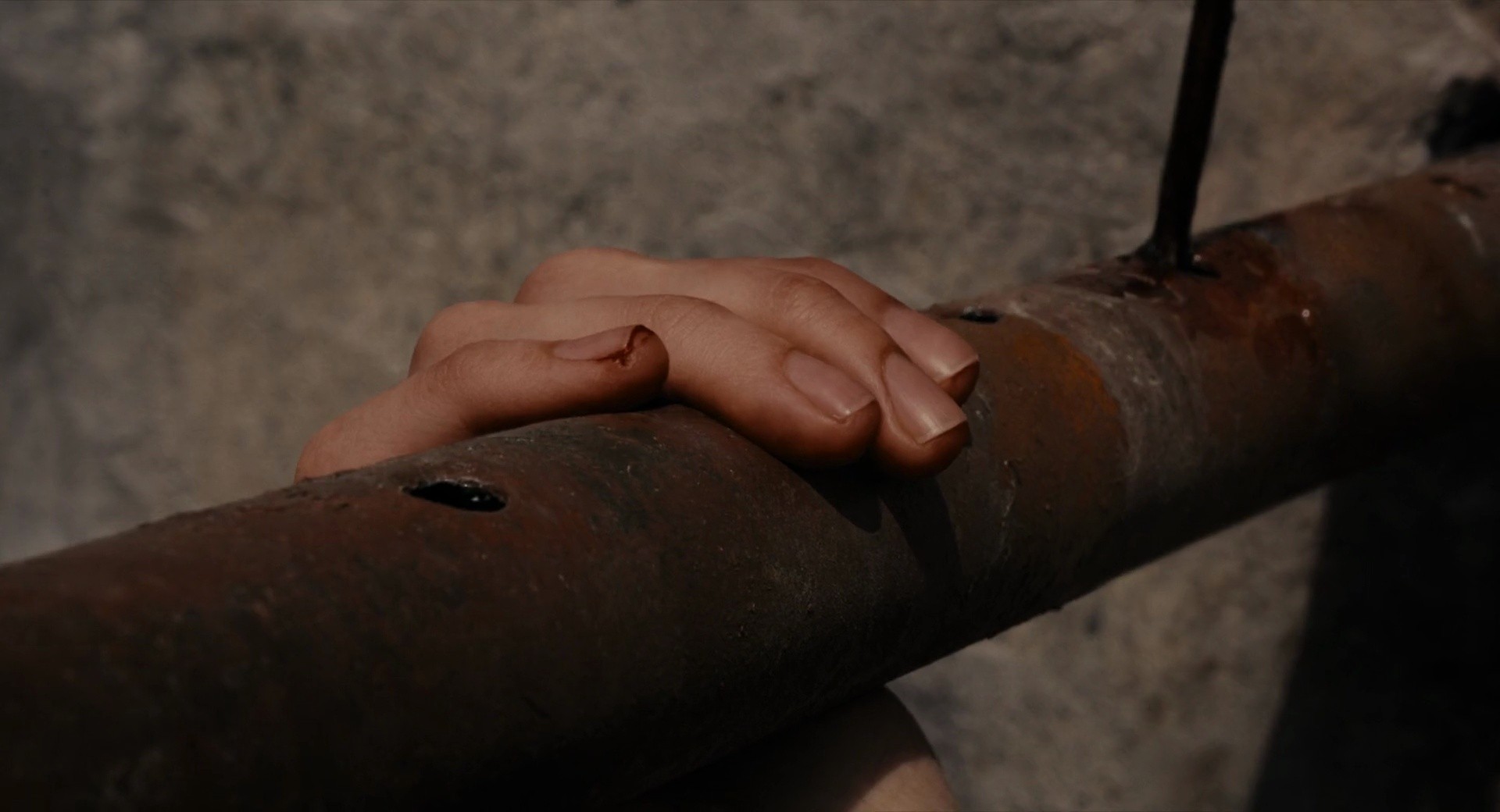 Shot 1495