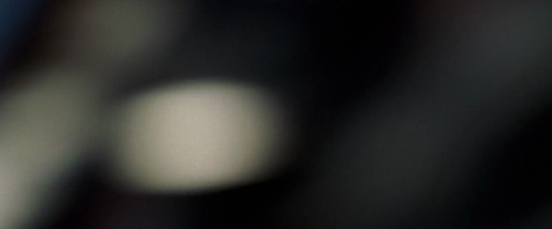 Shot 2007
