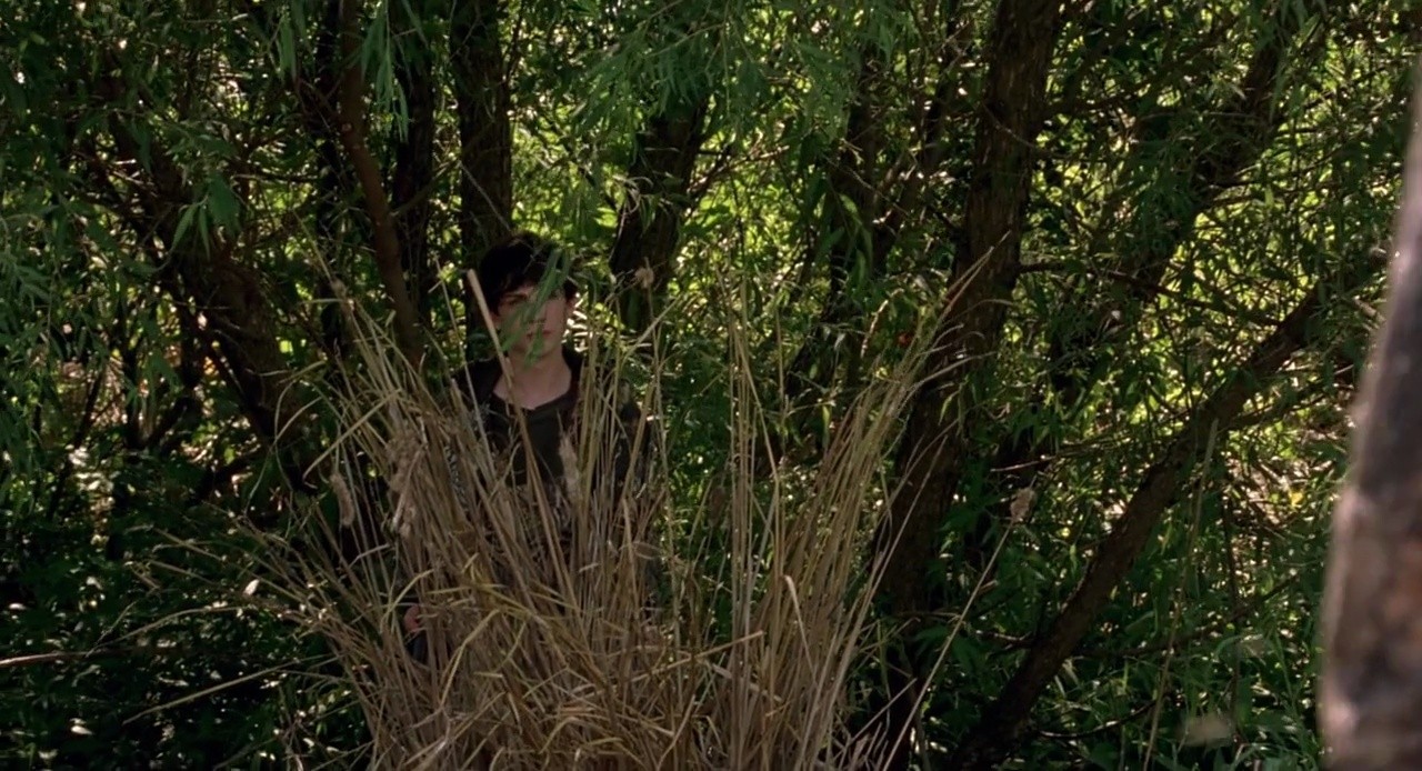Shot 375