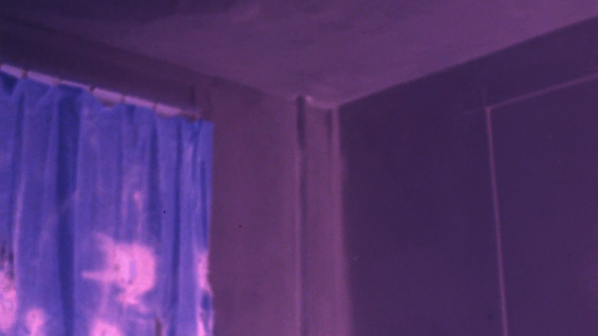 Shot 447