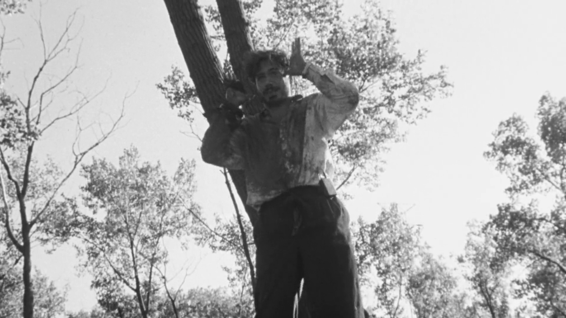 Shot 1961