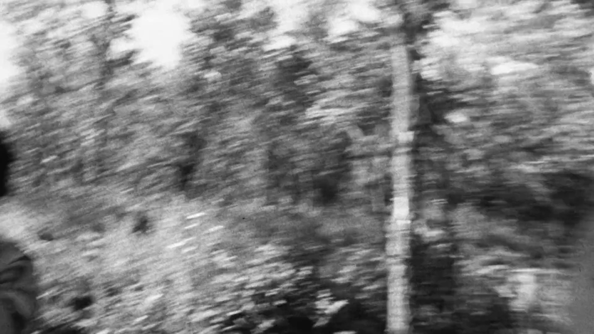Shot 1907