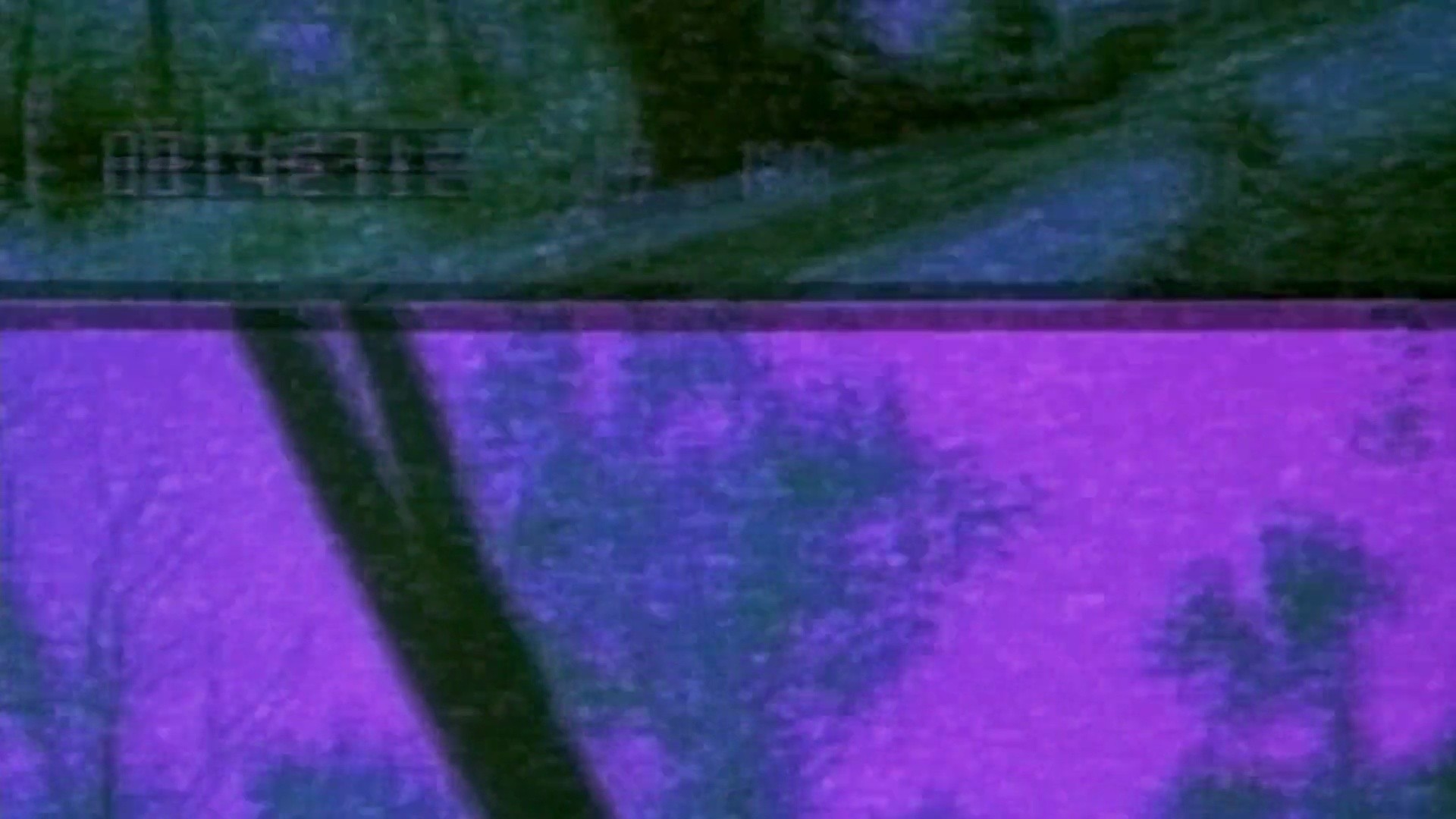 Shot 1982