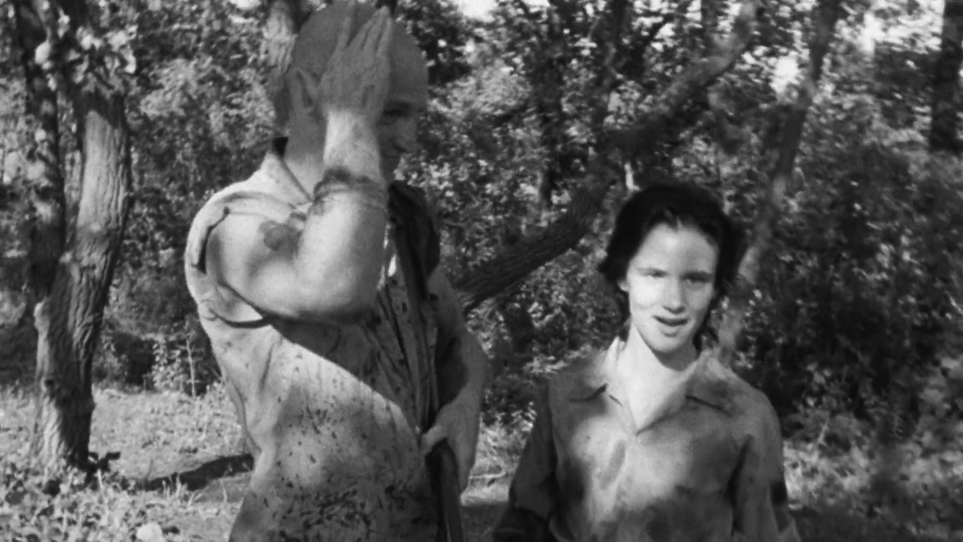 Shot 1956