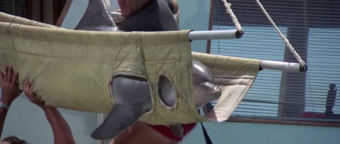 Shot 701