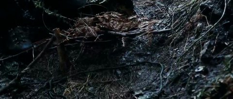 Shot 725