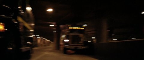 Shot 1564