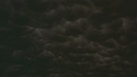Shot 5