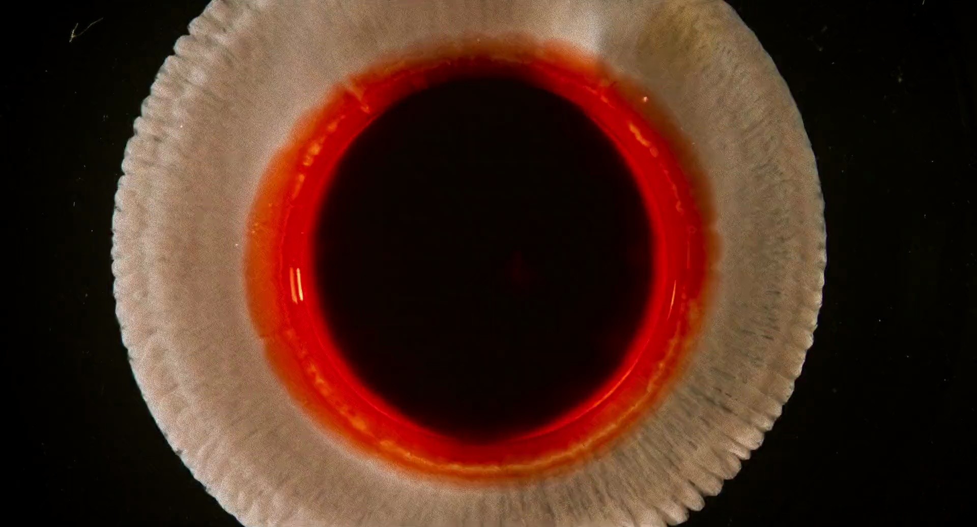 Shot 1119
