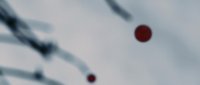 Shot 10
