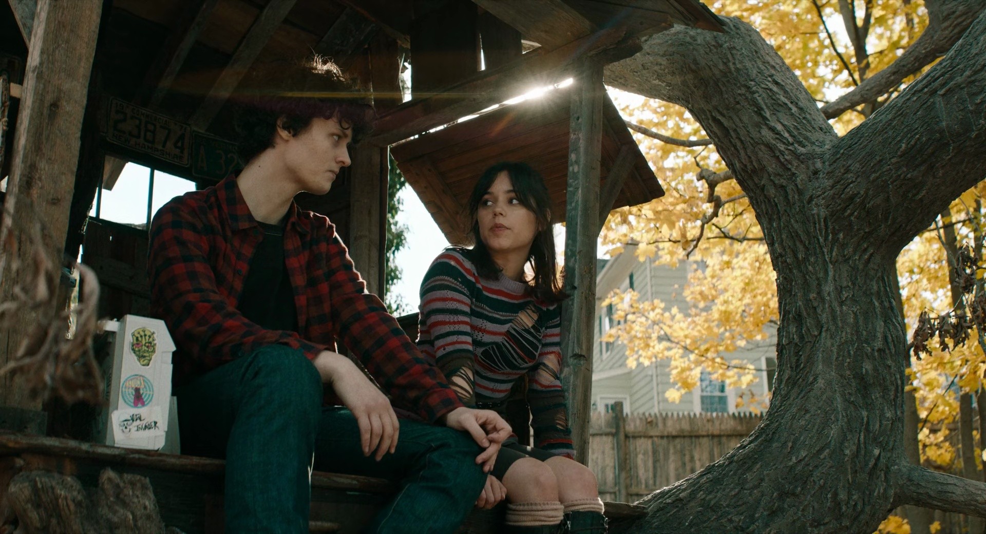 Shot 584