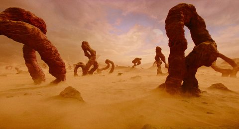 Shot 1243