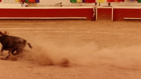 Shot 635