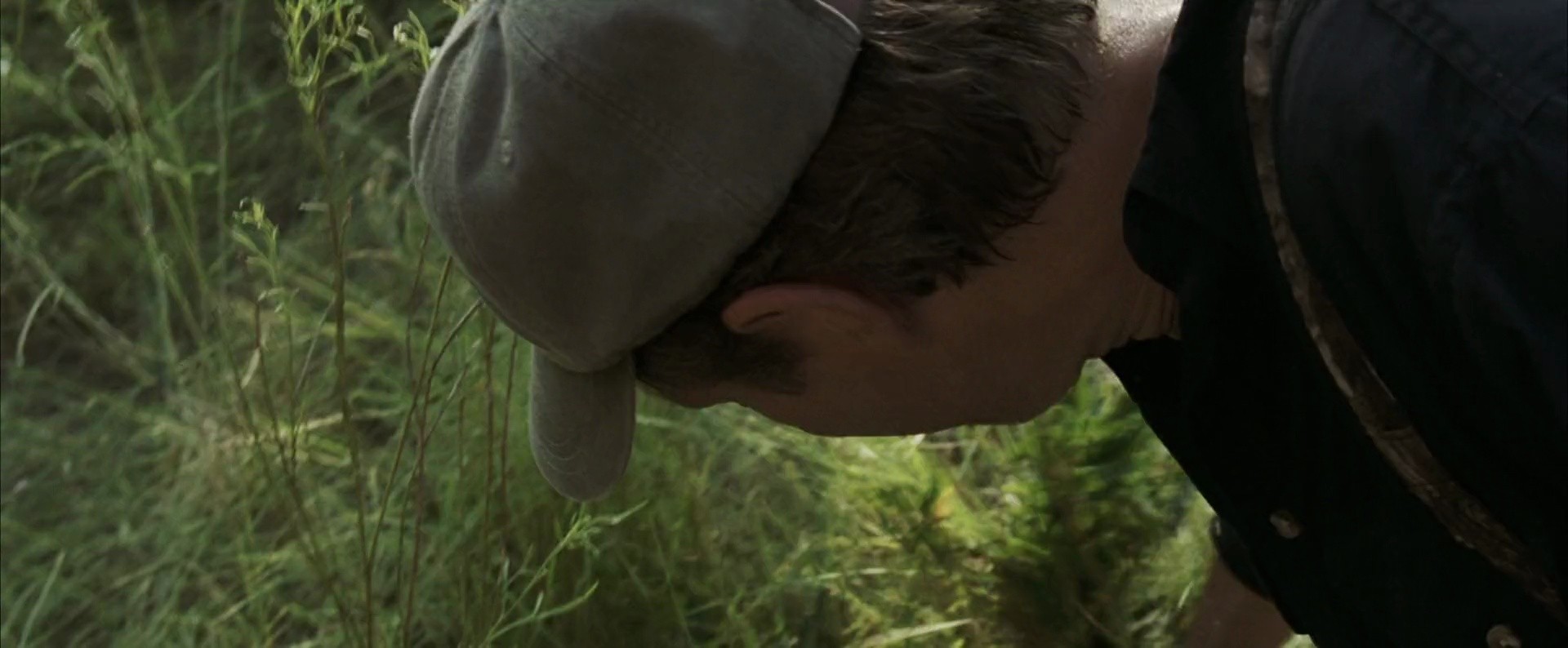 Shot 595